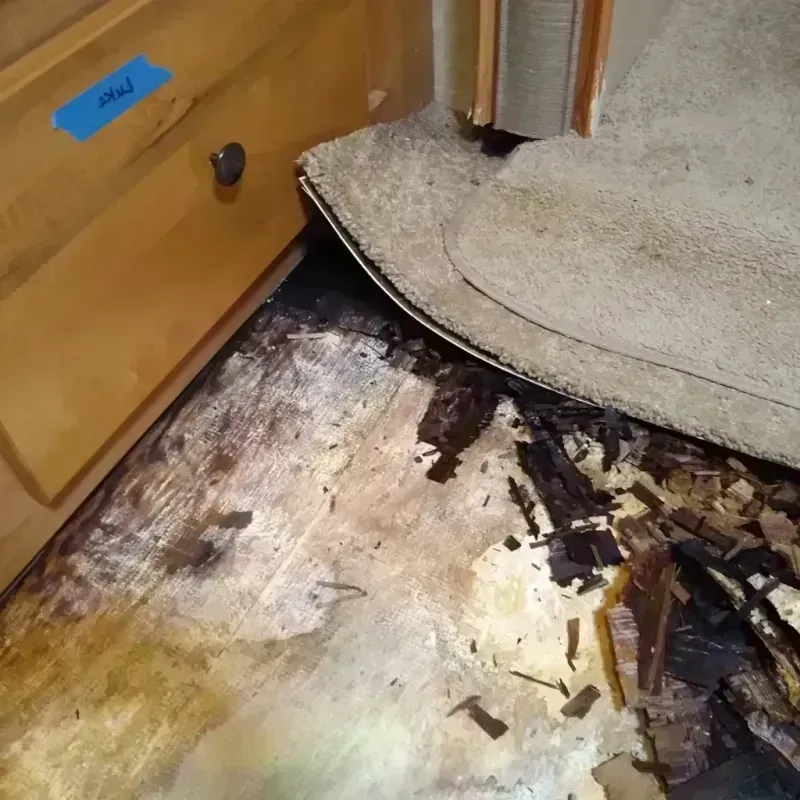 Wood Floor Water Damage in Mellwood, MD